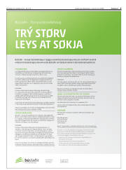 Síða 3