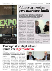 Síða 19