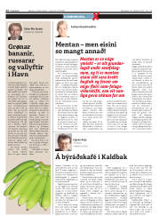 Síða 22