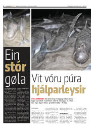 Síða 4