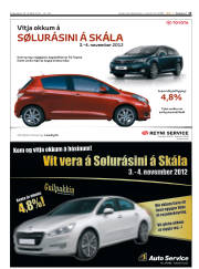Síða 13