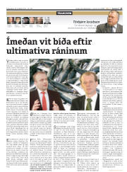 Síða 17