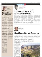 Síða 20