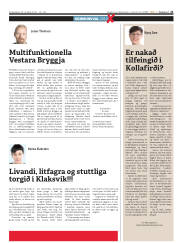 Síða 21