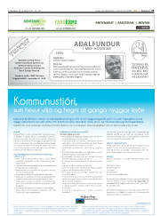 Síða 29