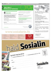 Síða 32