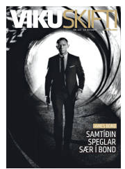Síða 41