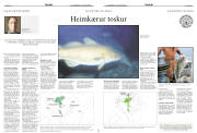 Síða 14