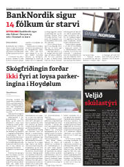 Síða 5