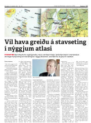 Síða 11