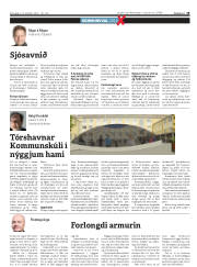 Síða 19