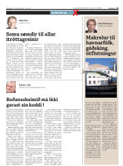Síða 21