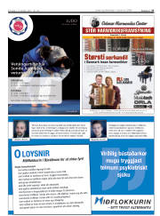 Síða 27