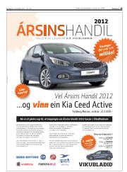 Síða 29