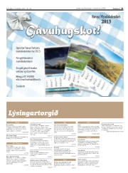 Síða 31