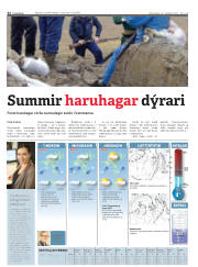 Síða 32