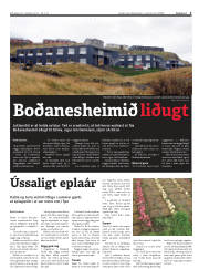 Síða 3