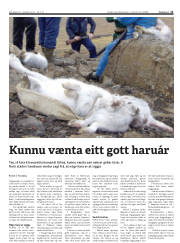 Síða 11