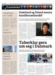 Síða 12