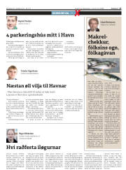 Síða 17