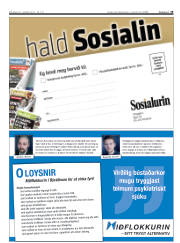 Síða 19