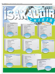 Síða 8