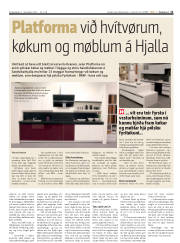 Síða 11