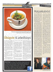 Síða 13
