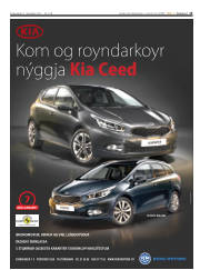 Síða 15