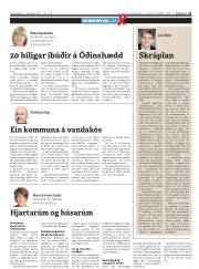 Síða 21