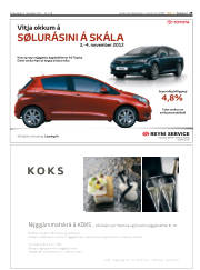 Síða 29
