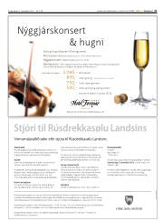 Síða 31