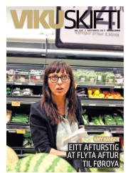 Síða 41