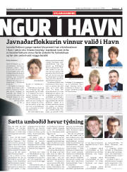 Síða 5
