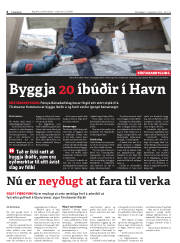 Síða 6