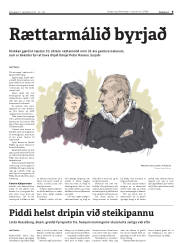 Síða 9