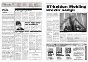 Síða 2