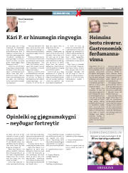 Síða 13
