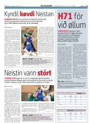 Síða 15
