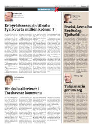 Síða 19