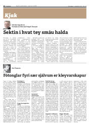 Síða 26
