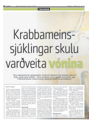 Síða 18
