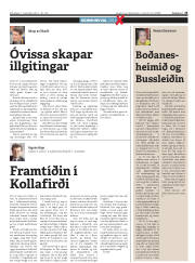 Síða 25