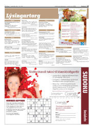 Síða 29