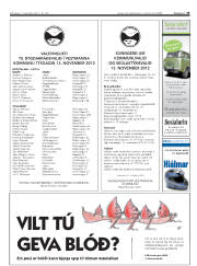 Síða 33