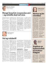 Síða 21
