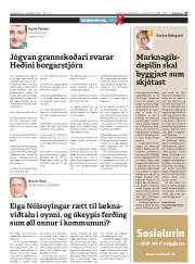 Síða 25