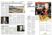Síða 11