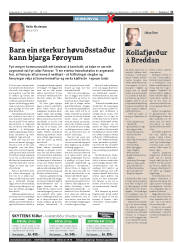 Síða 31