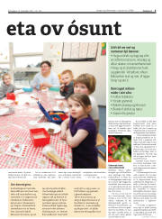 Síða 5